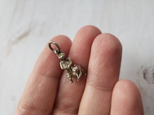 Load image into Gallery viewer, Vintage Sterling Silver Charms - charm bracelet, estate charms, hobby charms, landmark charms, nature charms, travel charms, moving charm